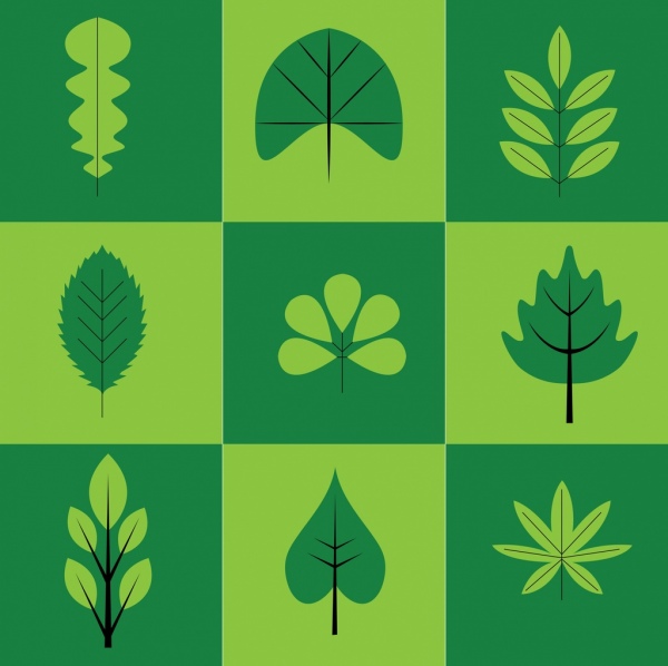 herbs icons collection green leaves types isolation