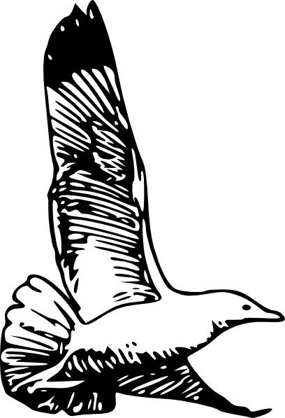 Herring Gull clip art