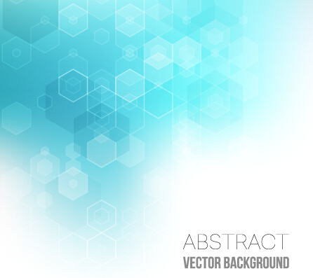 hexagon with blurs background vector