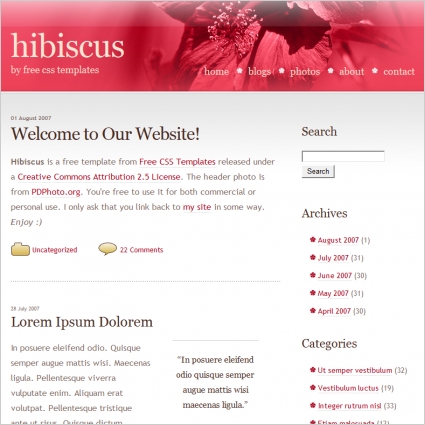 hibiscus 