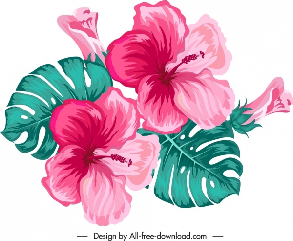 hibiscus flower icon colorful classical design