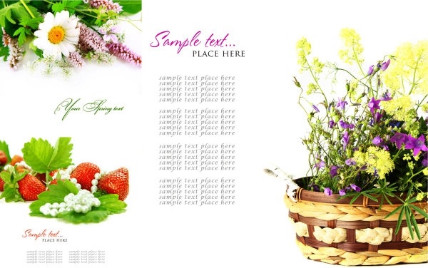 highquality pictures of beautiful flowers background pattern 1 