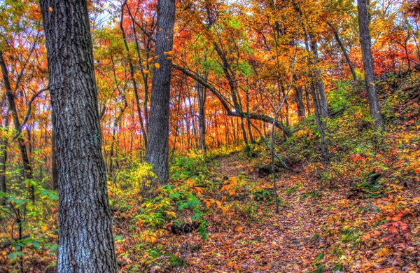 hiking path in autumn in southern wisconsin