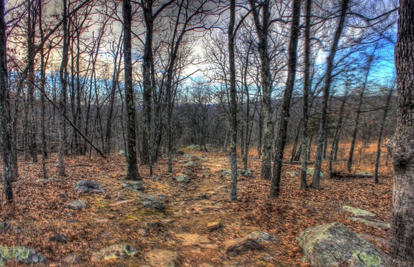 hiking trail 