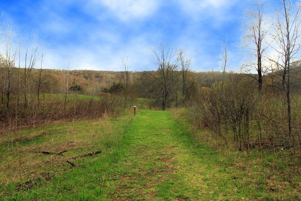 hiking trail at natural bridge state park wisconsin 