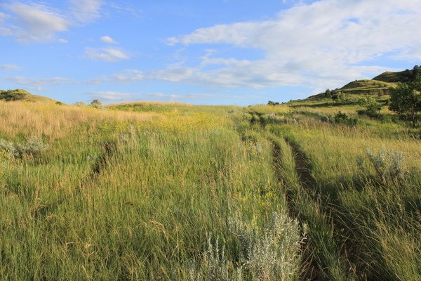 hiking trail on a clear day at theodore roosevelt national park north dakota