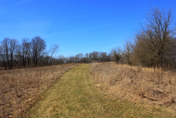 hiking trail on the grassland at maquoketa caves state park iowa 