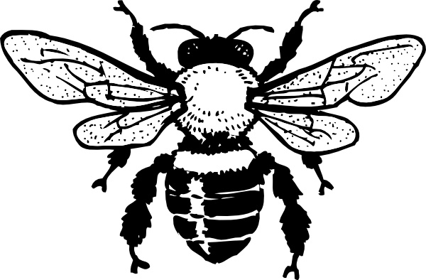 Free Bee Clip Svg