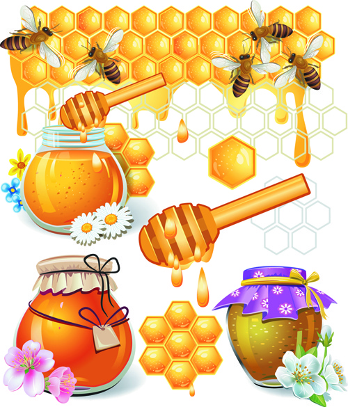 honey bee vector design elements 