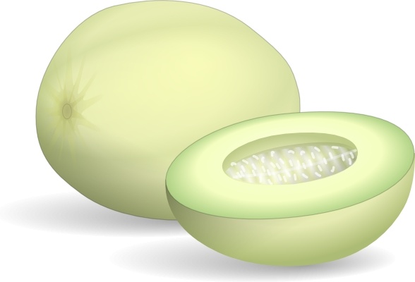 Featured image of post Melon Clipart Images Download the perfect melon pictures