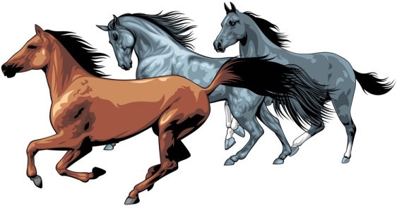 Horse Riding Vector Free Download / Horse free vector download (915