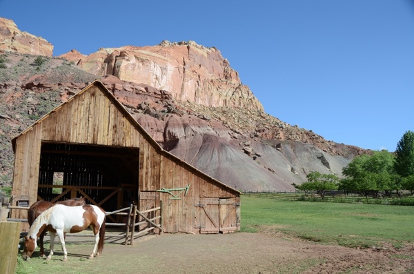 horse barn capitol reef national park
