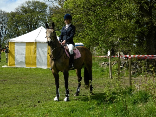 horse rider