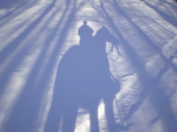 horse shadow