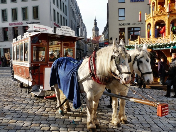 horse-drawn carriage carriage rides neumarkt
