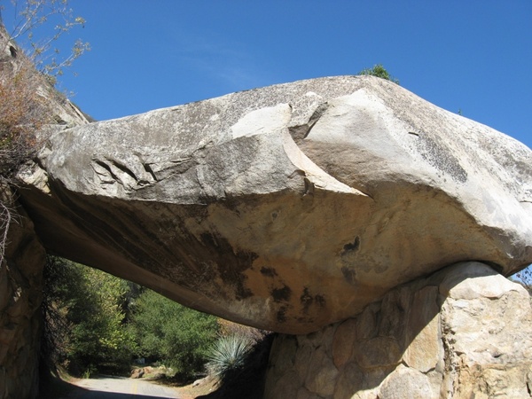huge boulder at sequoia park