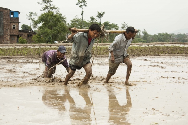 human efforts men at work mud