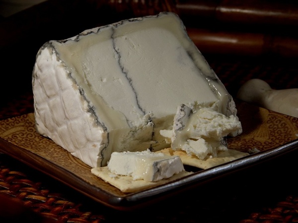 humboldt fog cheese blue mold mold