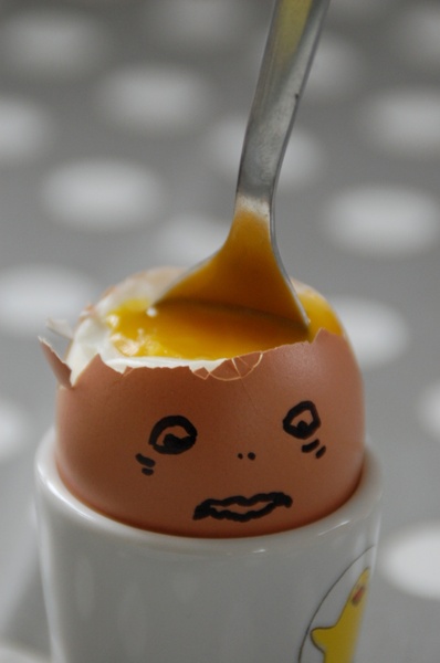 humor egg head