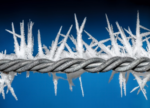 ice on wire 