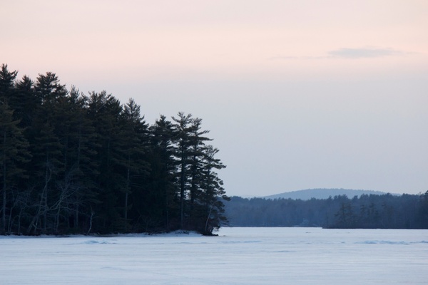 ice winter trees lake 