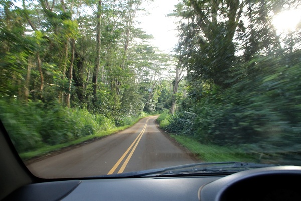 in car driving down road through jungle