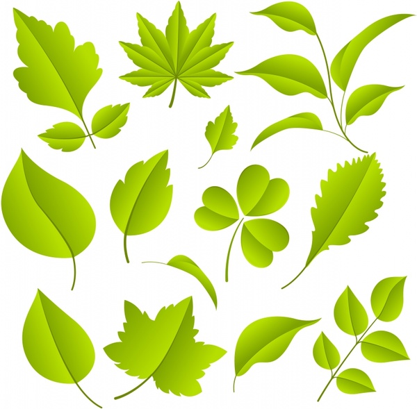 decorative leaf icons shiny modern green shapes sketch