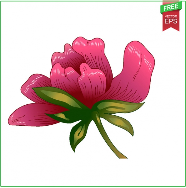 ink vector red peony free download floral botanical flower wild sprin