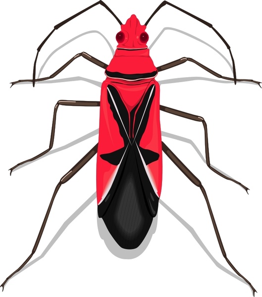 Insect 27 Free vector in Open office drawing svg ( .svg ) vector