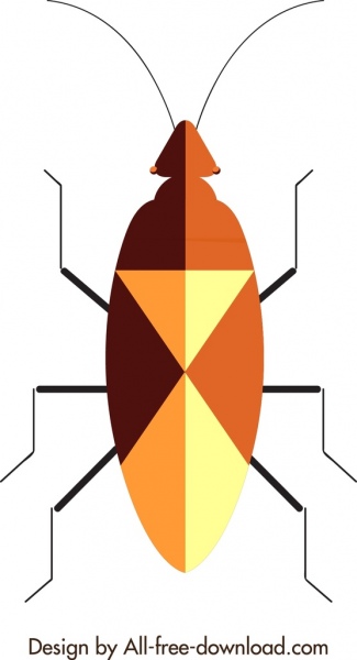 insect background beetle icon closeup geometric design