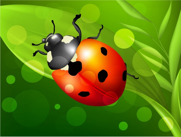 insect background ladybug icon multicolored decoration