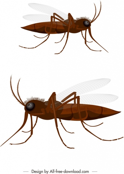 insect background mosquito icon 3d brown design