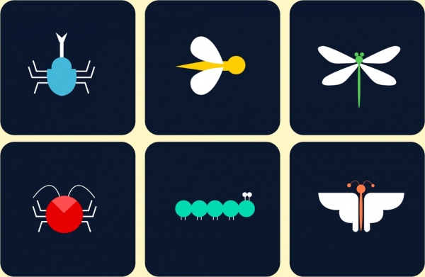insect icons isolation colored flat design