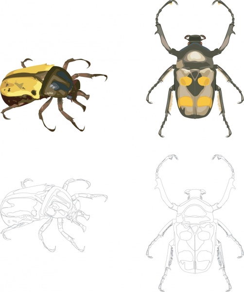 Insect vector Free vector in Adobe Illustrator ai ( .ai ) vector