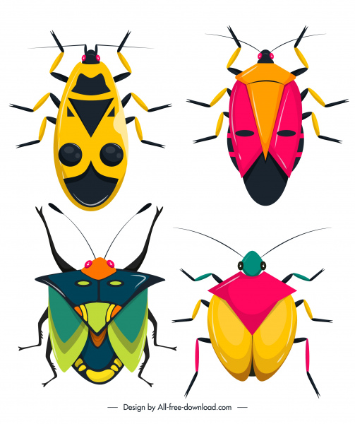insecta bugs species icons colorful flat sketch