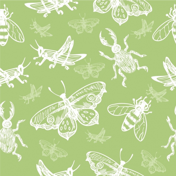 insects background various types decor repeating sketch
