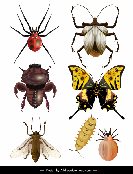 insects species icons shiny colored modern design
