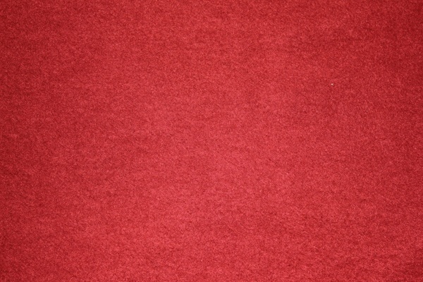 interior of red shirt