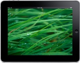 iPad Landscape Grass Background