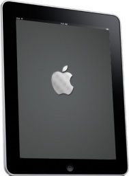 iPad Side Apple Logo