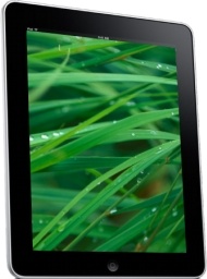 iPad Side Grass Background