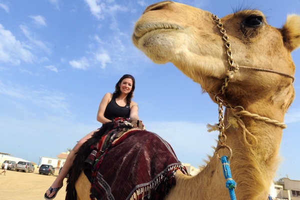 iraq camel woman 