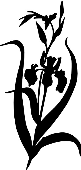 Free Free 100 Iris Flower Svg SVG PNG EPS DXF File