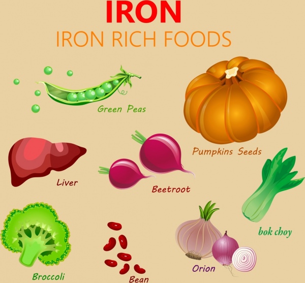iron foods advertising various vegetables icons multicolored design