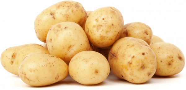 isolated potatoes