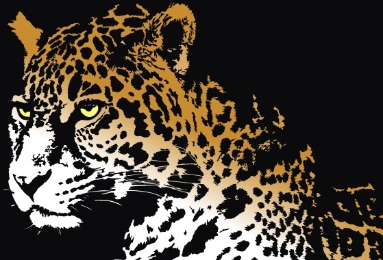 Vector jaguar for free download about (19) vector jaguar. sort by