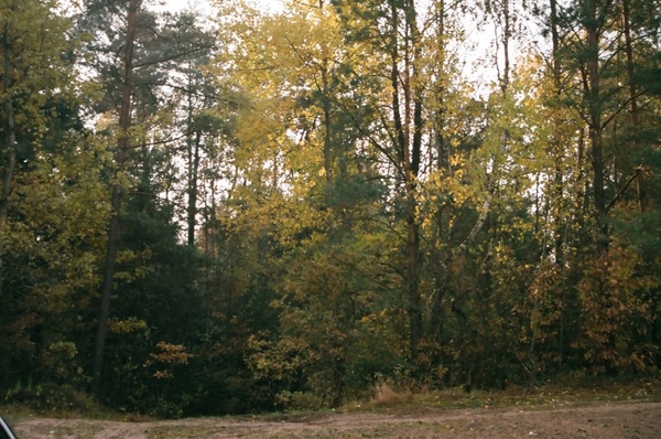 janowskie forests