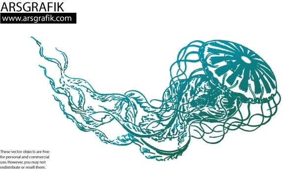 Jellyfish Vector Free vector in Adobe Illustrator ai ( .ai ...