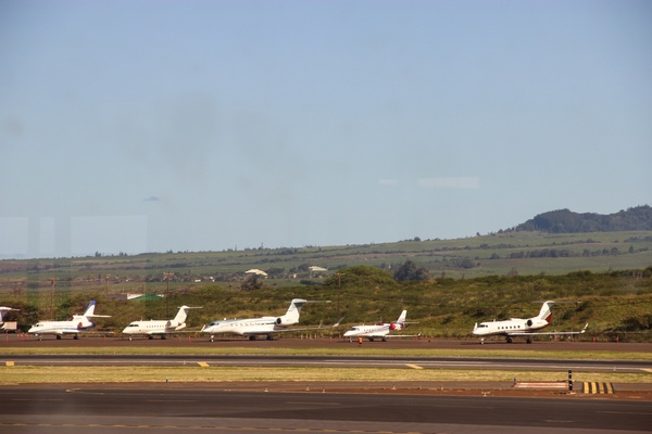 jet planes lined up at airport