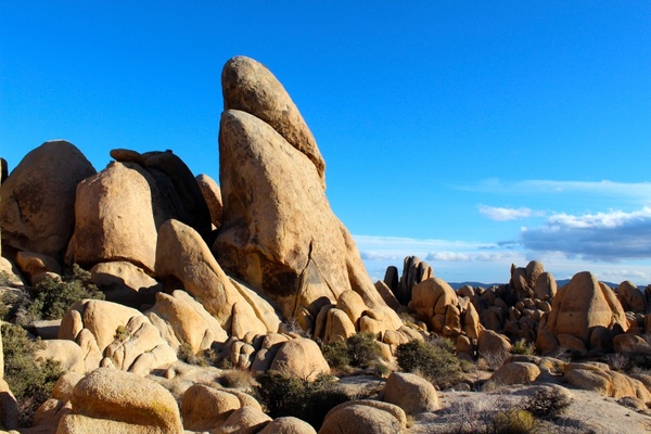 joshua tree national park rocks boulders